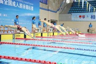 济南成人游泳比赛视频,济南成人游泳比赛精彩瞬间回顾