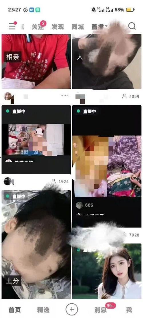 成人播主视频在线观看,在线观看背后的故事与影响