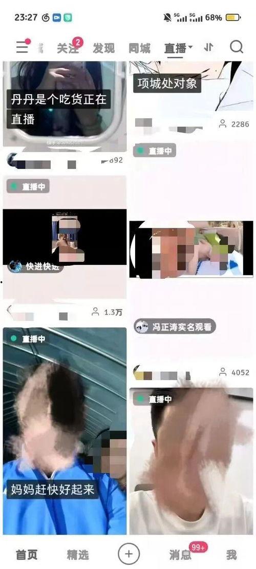 成人播主视频在线观看,在线观看背后的故事与影响