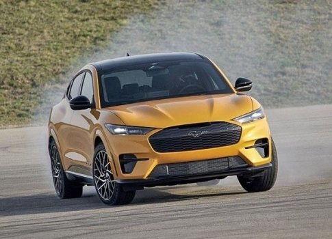 野马成人网站视频,揭秘成人视频内容的魅力与争议