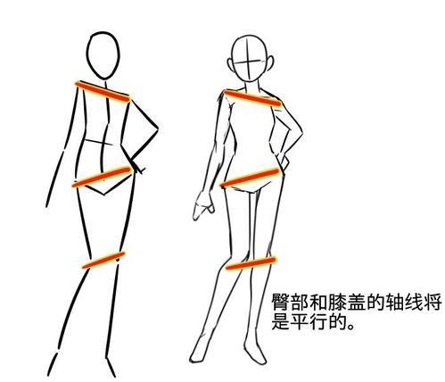 站姿画成人教程视频,从基础到精通的步骤解析