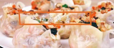 成人烧麦的制作视频,成人烧麦制作全过程揭秘