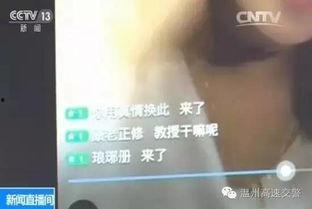 成人观看的视频制作软件,技术解析与行业洞察