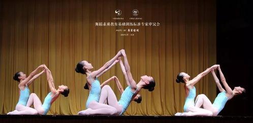 成人舞蹈石门教学视频,轻松入门，舞动人生